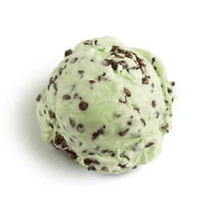Viva Gelato Mint Chocolate Ice Cream 4ltr